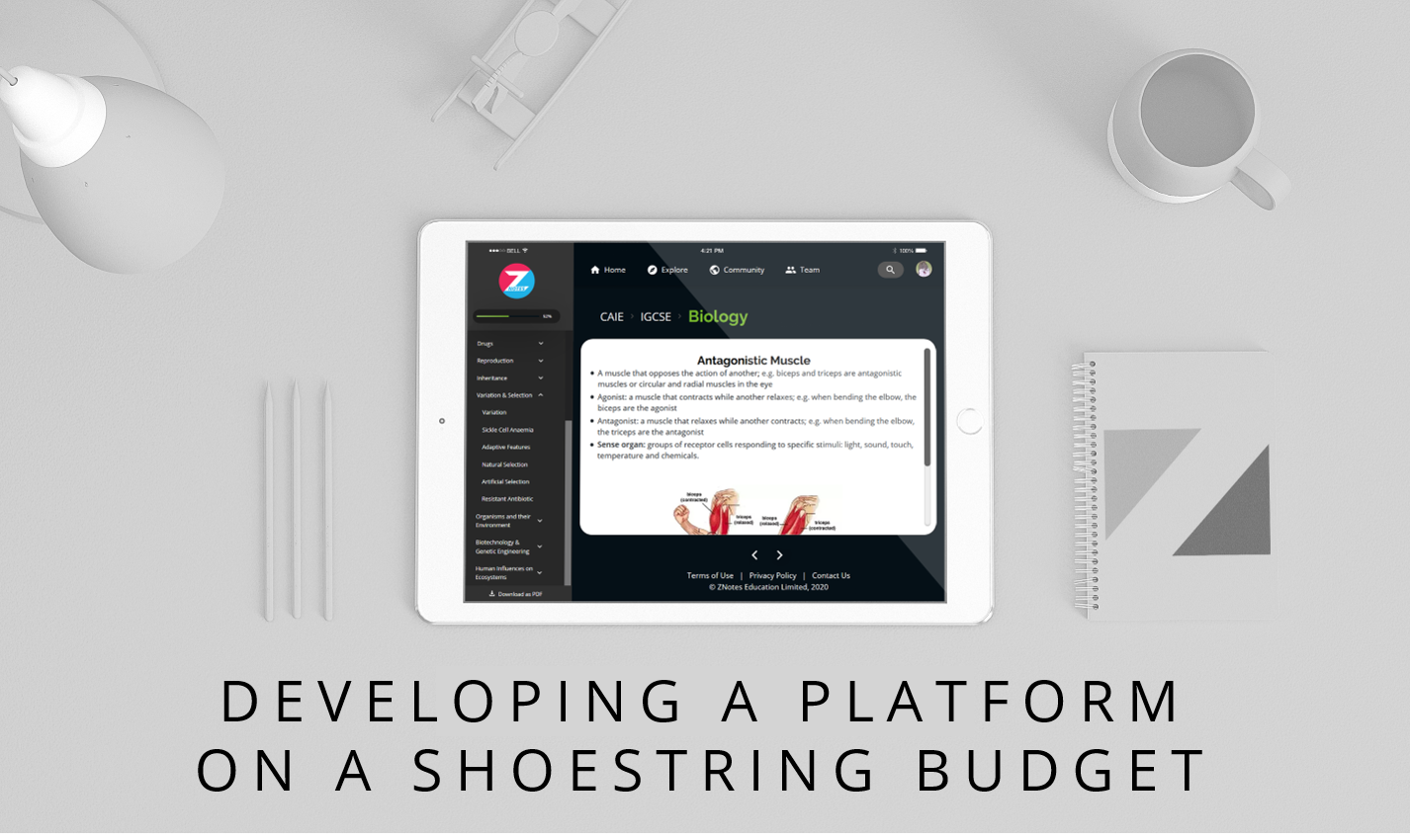 Developing a Platform on a Shoestring Budget